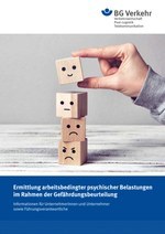 Ermittlung arbeitsbedingter psychischer Belastungen im Rahmen der Gefährdungsbeurteilung