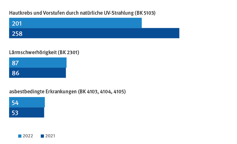 Häufigste Berufskrankheiten 2022/2021, barrierefreie Textversion über der Grafik