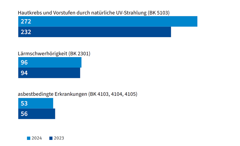Häufigste Berufskrankheiten 2024/2023, barrierefreie Textversion über der Grafik
