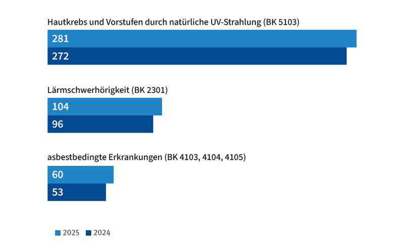 Häufigste Berufskrankheiten 2025/2024, barrierefreie Textversion über der Grafik