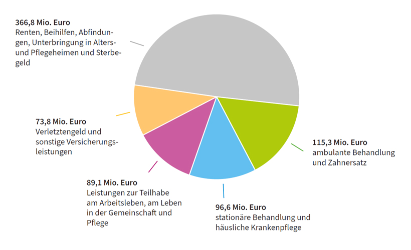 Verteilung der Ausgaben auf Leistungsarten, barrierefreie Tabelle darunter
